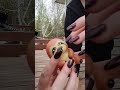 Asmr outside/asmr birds