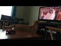 Talking Dog Freaks Out Yellow Lab