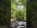 Amicalola Falls, Pt 1