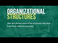 Organizational Design and Structure