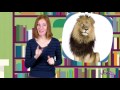 Amazing Animal Groups | Science for Kids