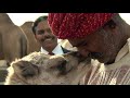 Thar: The Incredible Living Desert | Deserts And Life