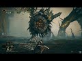 Elden Ring Shadow Of The Erdtree - All Major Bosses & Ending (No Summons/Mimic Tear)