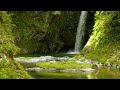 【自然の音】滝壺の情景 / Nature Sounds – Scenery of the Waterfall Basin