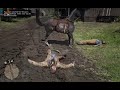 Can You Shoot Horse face 🤣🤣 in Red Dead Redemption 2 (4K 60FPS)