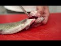 Tierschutzgerecht Betäuben und Töten | Fisch und Grips