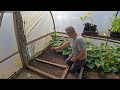 Seeds to Sow in August | Seed Sowing in August | Vegetable Seed Sowing | Green Side Up