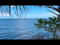 Calming Nature Sounds, Water Sounds, Relaxation, Stress Relief, Sleeping, Studying
