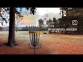 Beginner disc golf putting woes.