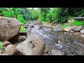 Calm River Sounds - Unwind with the Sound of a River Flowing Through Rocky Terrain