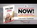 Book Trailer The Feline CEO