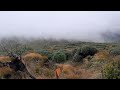 Approaching Burn Hut, Tararua Range