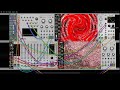 VCV Rack - A Sound Experiment No.1 - Gabber Burgundo #oriental #vcvrack #vcvambient #generativemusic