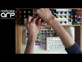 Midicake ARP live - Beware the Squidge