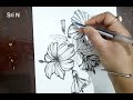 Pen Sketch | How to Draw a Hibiscus