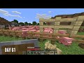 A Noob Survived 100 Days In Minecraft And This Is What Happened...