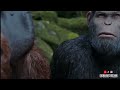 film || war of the plants on the apes || season 3 / part one