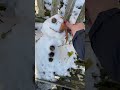 Winter in London 2022 ~ I found a cute snowman ⛄️