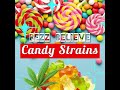 Bezz Believe - Candy Strains