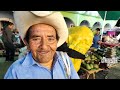 Dulces regionales, quesillo, artesanías y mucho más en un día de plaza en Miahuatlán.