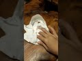 Borb lov tissue