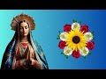 EL SANTO ROSARIO CORTO DE HOY LUNES 22 DE JULIO 2024 🌸MISTERIOS GOZOSOS🌸 - el santo rosario de hoy