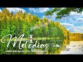 3 hours of the most beautiful orchestrated melodies of all time/The best romantic music for guitar