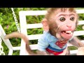 Baby Monkey BonBon Eats Rainbow Popcorn and Swimming with Colorful Egg - BonBon Farm