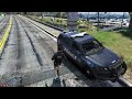 Removing Wheels From Cop Cars In GTA 5 RP
