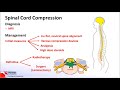 Metastatic spinal cord compression