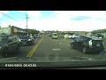 Dog Falls Out Moving Car Window