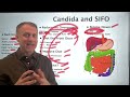 5 Steps to Improve Candida or SIFO (Small Intestinal Fungal Overgrowth)