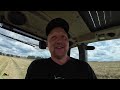 Farmvlog #316: Raps Triticale und Weizen dreschen