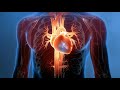 Watch how modern machines fix your damaged blood vessels! - Redmedbd