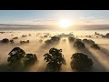 Ethereal Light - Sunrise through the morning mist - Beautiful English Countryside