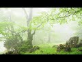 Beautiful Relaxing Music - Stop Overthinking, Stress Relief Music, Relaxing Music, Calming Music #3