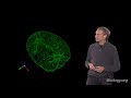 Microscopy: Super-Resolution: Structured Illumination Microscopy (SIM) (David Agard)