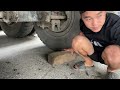 Auto repair:Rescuing a Container with Broken Tires On the Road of a Talented Mechanic