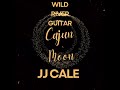 JJ Cale riffs & solos. A Wild River Film #guitar #music #musicvideo