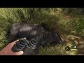 theHunter: Call of the Wild_ Gnu ouro