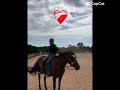 Heart horse ❤️