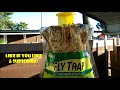 Rescue fly-trap-BEST FLY-TRAP EVER!!!- SET-UP AND RESULT