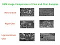 Biochar from Hydrothermal Carbonization of Microalgae and Distiller's Grains