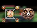 Majora's Mask is One Big Buddhist Metaphor and Here's Why (NEW DISCOVERIES)