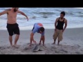 Shark fishing of south beach Phili