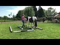 Horse agility level 1 - section 3