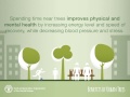 Benefits of urban trees