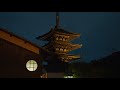 京都散策 : Walking Around Kyoto City（Kyoto, Japan）