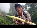 Arunachal Pradesh Wild Vegetables🥬|Collecting |