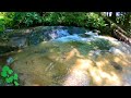 ✅Relax Sound of Clear Mountain River in Beautiful Green Forest Around in 4K